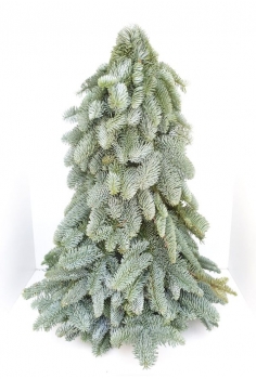 ARBOL NOBILIS NAVIDEÑO...