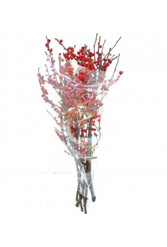ILEX POMO 10 varas (50cm)...