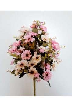 RAMO ENCARADO (MINI-COSMOS)...