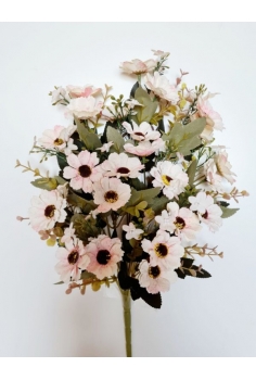 RAMO ENCARADO (MINI-COSMOS)...