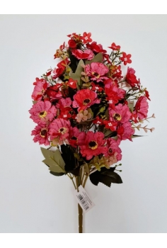 RAMO ENCARADO (MINI-COSMOS)...