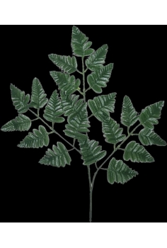 RAMA DE LEADER (alt: 65cm /...