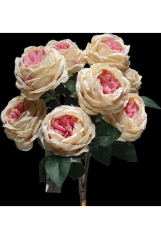 POMO ROSA INGLESA ROSA...