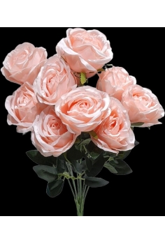 POMO CAPULLOS SALMÓN (12uds)