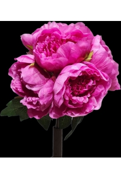 PEONIAS COLOR ROSA (5uds)