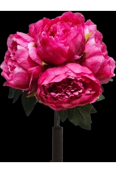 PEONIAS COLOR FUCSIA (5uds)