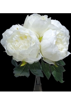 PEONIAS COLOR BLANCO (5uds)...