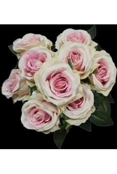 POMO ROSAS COLOR VERDE/ROSA...