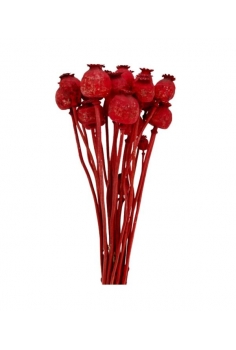 PAPAVER ROJO / largo: 55cm...