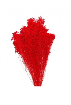 BROOM BLOOM ROJO / largo:...