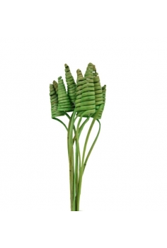 CANE CONE VERDE / largo:...