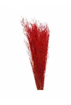 MINI GRAS ROJO / largo:...