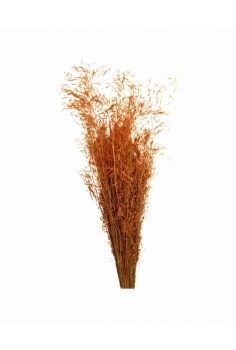 MINI GRAS NARANJA / largo:...