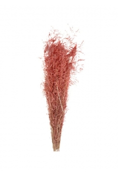 MINI GRAS ROSA / largo:...