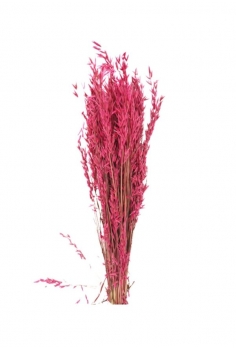 AVENA LILA / largo: 60cm /...