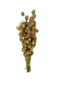 PNIGUELIA BOLA (largo 55cm...