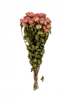ROSAS ROSAS (largo: 60cm /...