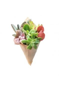 CONO PAPEL IMANTADO +...