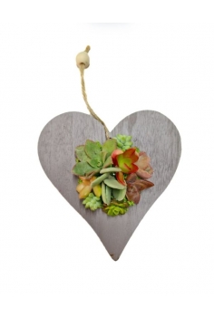 CORAZÓN MADERA + CRASSULAS...