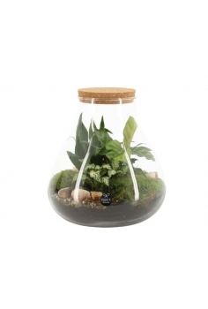 TERRARIO CRISTAL C-23 (alt:...