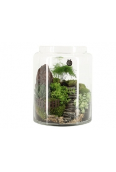 TERRARIO CRISTAL C-22 (alt:...