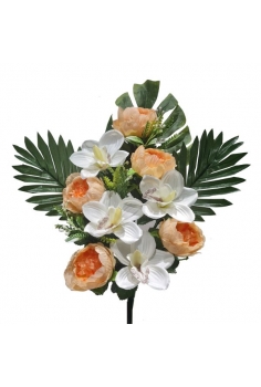 ENCARADO (PEONIAS /...