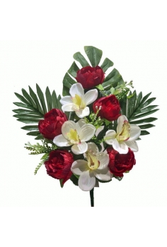 ENCARADO (PEONIAS /...