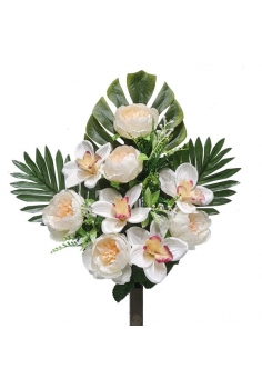 ENCARADO (PEONIAS /...