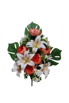 ENCARADO (PEONIAS /...