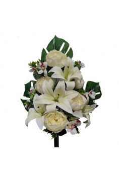 ENCARADO (PEONIAS /...