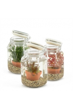 WATERPLANT MIX EN CRISTAL...