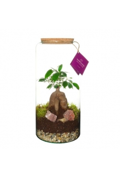 TERRARIO CRISTAL C-19 (alt:...