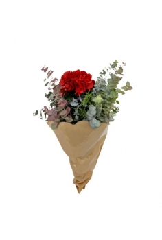 POMO OTOÑAL HORTENSIA...