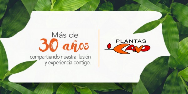 Innovación y Calidad para tu Espacio de Venta